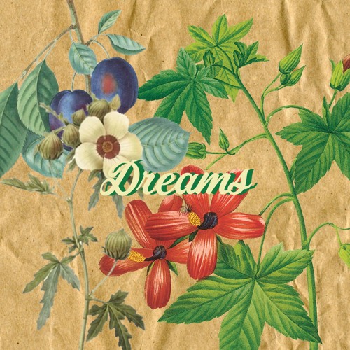 TOBO TOBO & Lafi - Dreams