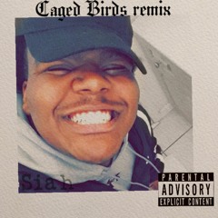 CAGED BIRD REMIX
