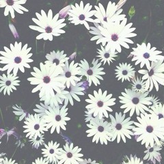 Cover of Lana Del Rey's 'Born to Die'