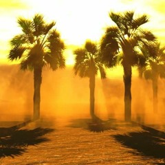 DesertStorm2