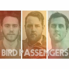 Bird Passengers - The Original [David Moralee RMX]