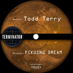 Todd Terry - Fckuing Dream