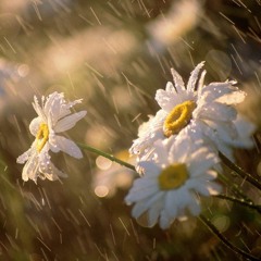 Gratitude for mixed choir and piano (midi realization)