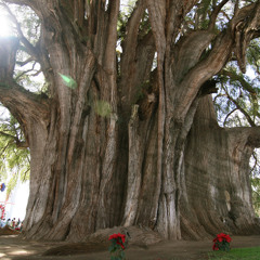 GrooveGrove - With You