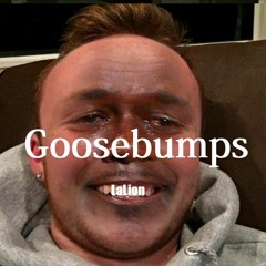 Goosebumps Freestyle