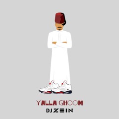 Yalla Ghoom - DJ Zein