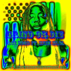 Ace Hood x Meek Mill Type Beat - "Grind Or Die" | Trap Beat | SMPMusicProductions.com