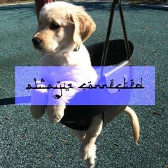 Currensy Type Beat - Crusin (Prod.$ICK)