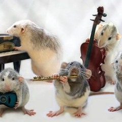 ValentiDay - MaleMale Stg2