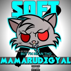 MAMARUDEGYAL - SOFT (BUT I'M MEAN THO) (PROD. BY DON P)