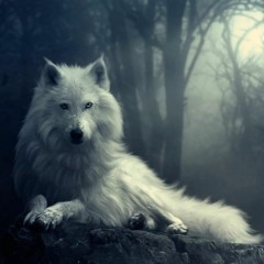 Most Epic Music Ever- -The Wolf And The Moon- By BrunuhVille