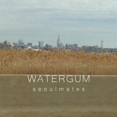 Max Koffler & Seoulmates - WATERGUM
