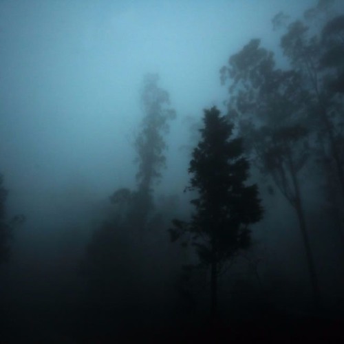 OSC 95 - Shadows In The Mist (WIP)