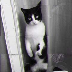 Adorable Augnablik［Free Download］