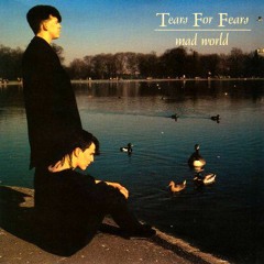 Mad World - Written by Roland Orzabal - Tears for Fears 1982 - covered by Gabriele Antonangeli