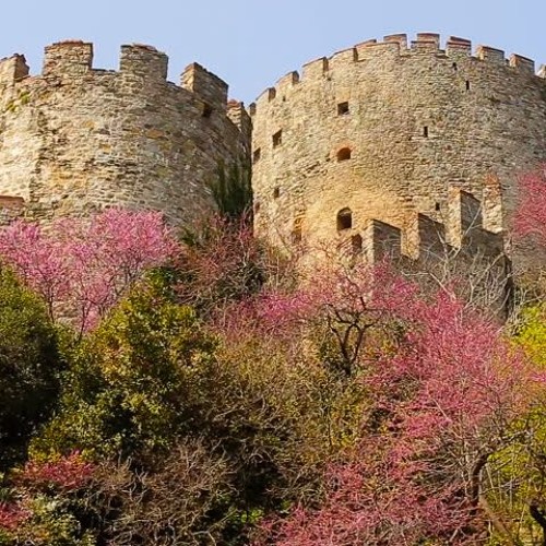 Mark Knopfler - Redbud Tree(cover) w/Eren Kocer