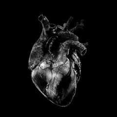 Heart Is As Black As Night-(Cover)- Based on the  version by Beth Hart and Joe Bonamassa