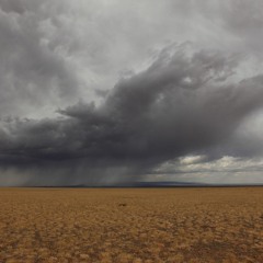 Rain in the Desert Mix