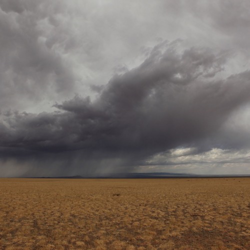 Rain in the Desert Mix