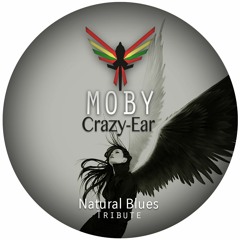 Natural Blues (MOBY Tribute)