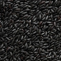 The Black Rice (1986mix)