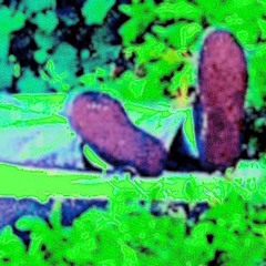 Flash Photo Glamour Pool