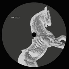 ADIEL _ IL CAVALLO [DNZT 001]