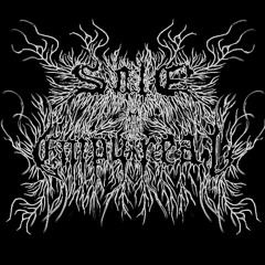 Suicide Winds (Veil Cover)