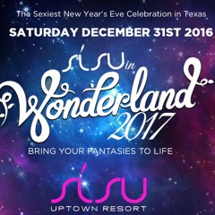 Joe Dirt - Live @ Sisu NYE 2016