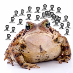 CONCERTO FOR TOADS and ORCHESTRA (A Little Bit Of Benjamin Britten And A Lot Of Toads)