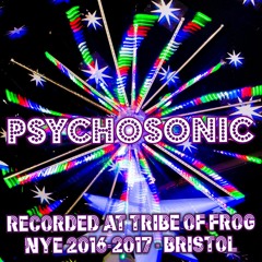 Psychosonic - Recorded at Tribe of Frog NYE 2016-2017