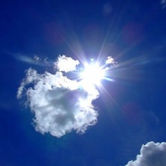 WhosMotus - Stay Beautifly