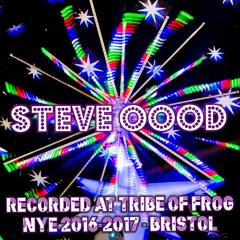 Steve OOOD - Recorded at Tribe of Frog NYE 2016-2017