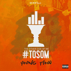 13.TAGCU - Young Flow ft Karishma,Bertholdt
