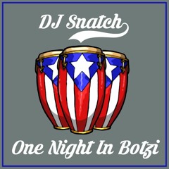 DJ Snatch - One Night In Botzi