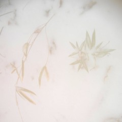 accumulation/little dancers