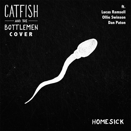 Homesick - Catfish And The Bottlemen Cover