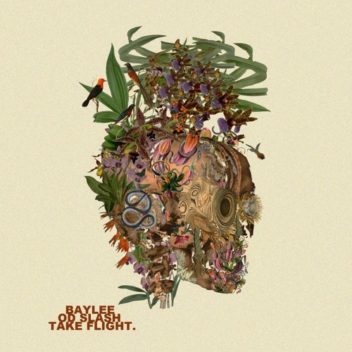 Bayleé & OD SLASH - Take Flight