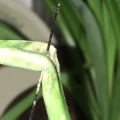 track 23984u2 (video here: https://youtu.be/yCrDnsYgmLM)