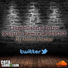 Liambilson‘S Intro(Xigubo Remix)#REPOST"DJ VADO POSTER"