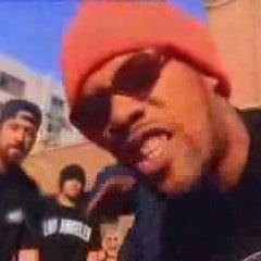 Redman Ft Erik Sermon -Cypress Hill -Throw Your Hands In The Air (didi Fou Rmx)