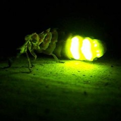 Stick que viven (Mive x DeHeLIo x Ita ií x Pablo Lobra x Dj Teaz)