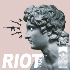 THE RIOT MIX