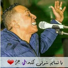 دخلة حفلة راس السنة يا فرح فنان ودافي (يانسايم شوقي كله )