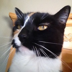 Mercy (BOOTS Acoustic Cover)