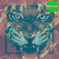 KFred & FranklyStyle - Igniting the Fire (MintLab Exclusive)