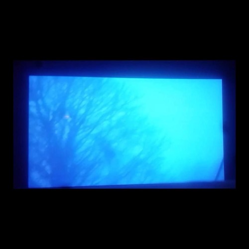 i have been trying to meet you for so long now i dont wanna do this anymore (prod color hue)