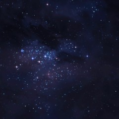 beautiful black beatles (beautiful x black beatles)