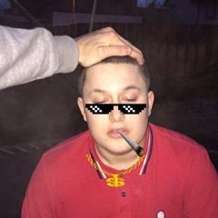 The peado files