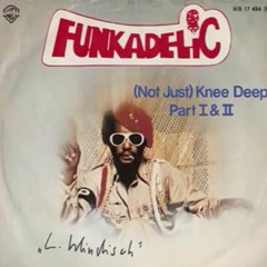 George Clinton & The Parliament Funkadelic- Not Just Knee Deep